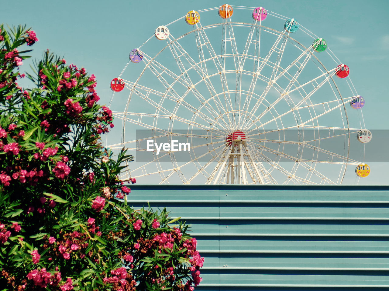 LOW ANGLE VIEW OF AMUSEMENT PARK AGAINST SKY