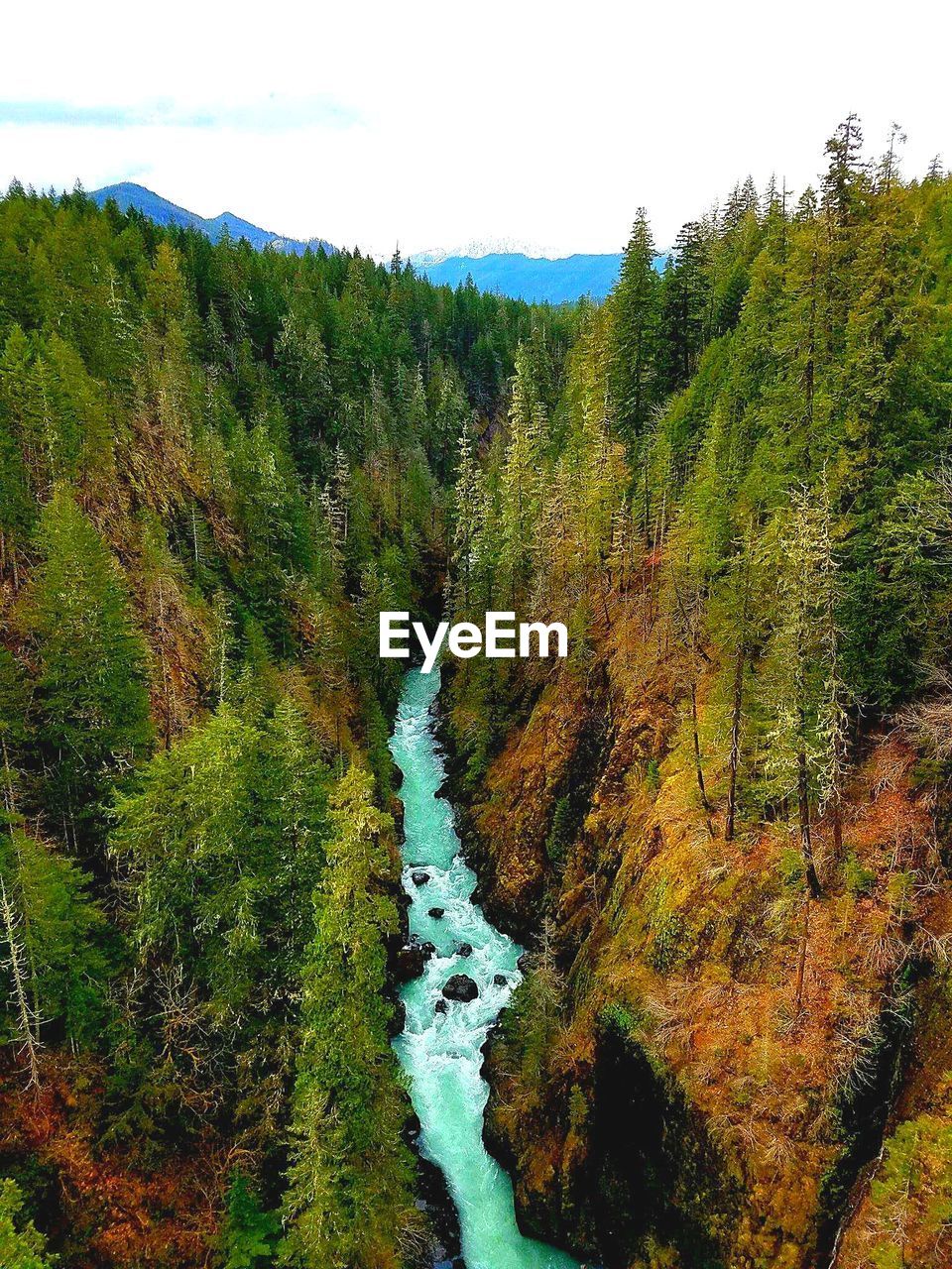 SCENIC VIEW OF RIVER AGAINST SKY