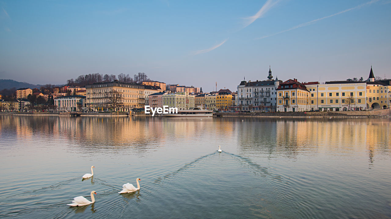 SEAGULLS BY RIVER AND BUILDINGS IN CITY