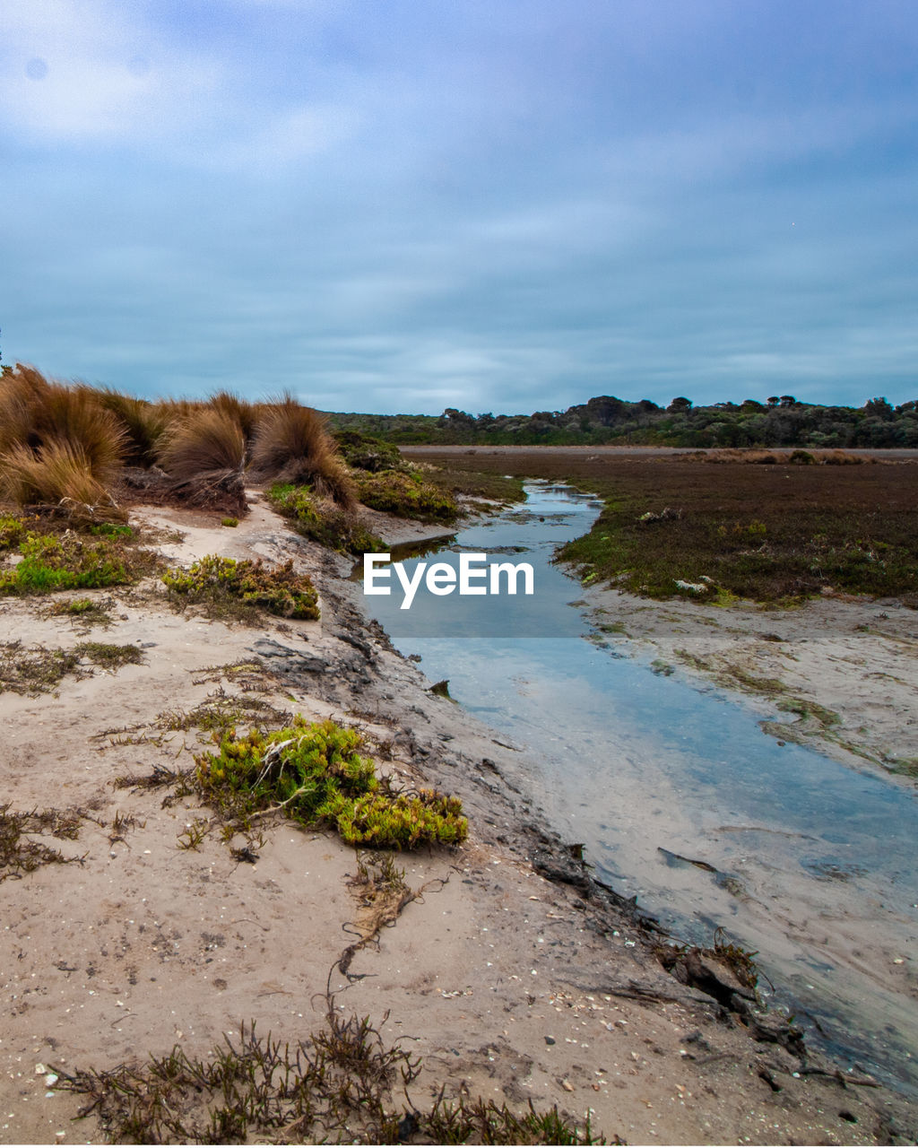 SCENIC VIEW OF BEACH AGAINST THE SKY