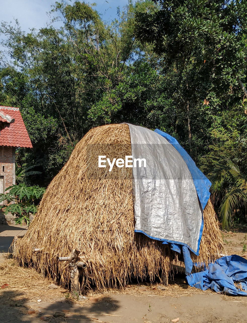 HAY BALES ON FIELD BY HOUSE