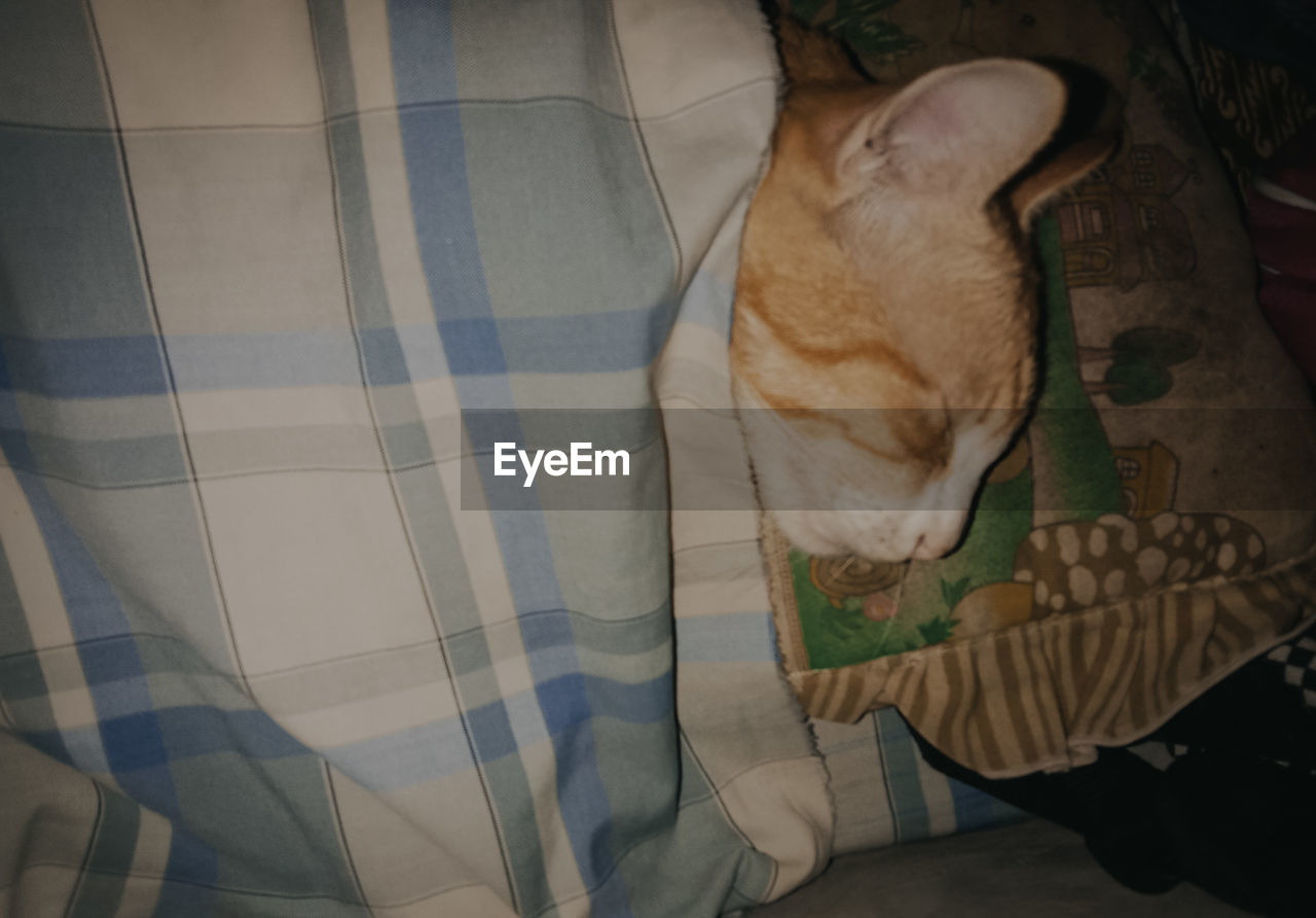 HIGH ANGLE VIEW OF A CAT SLEEPING ON BED
