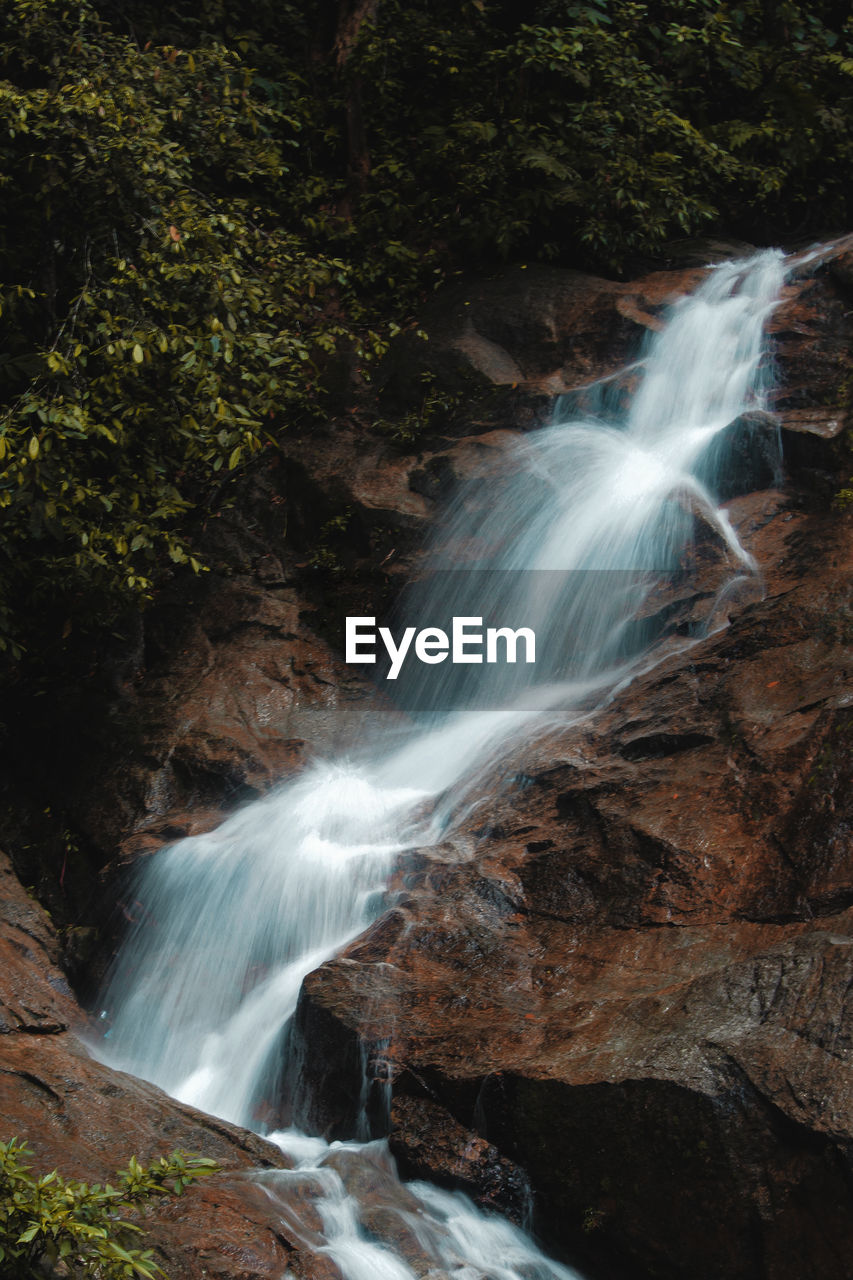 View of waterfall in forest