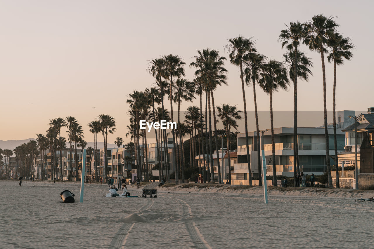 Palm trees on beach against sky during sunset