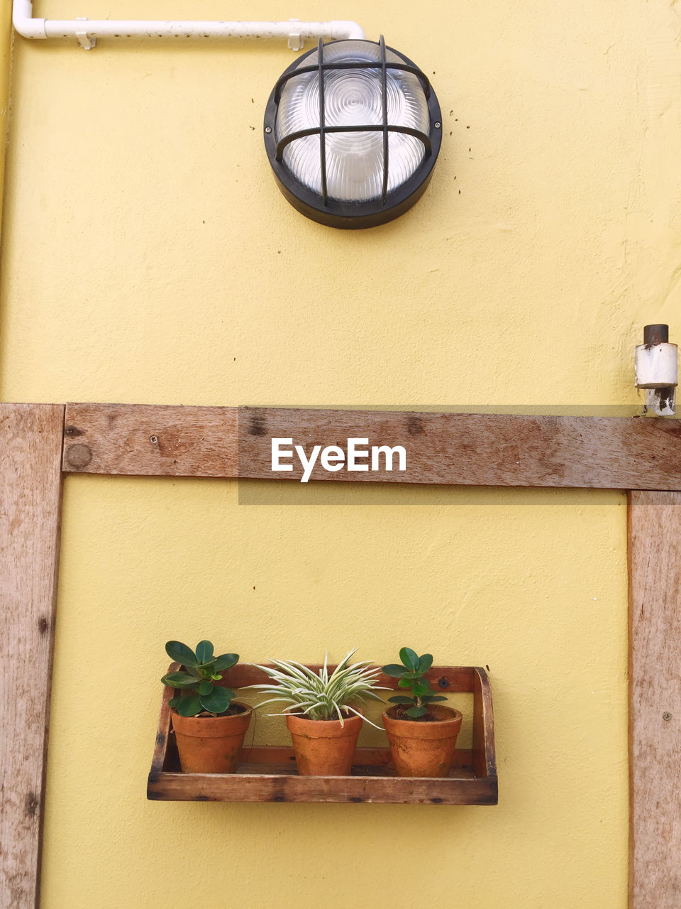 POTTED PLANTS OUTSIDE BUILDING