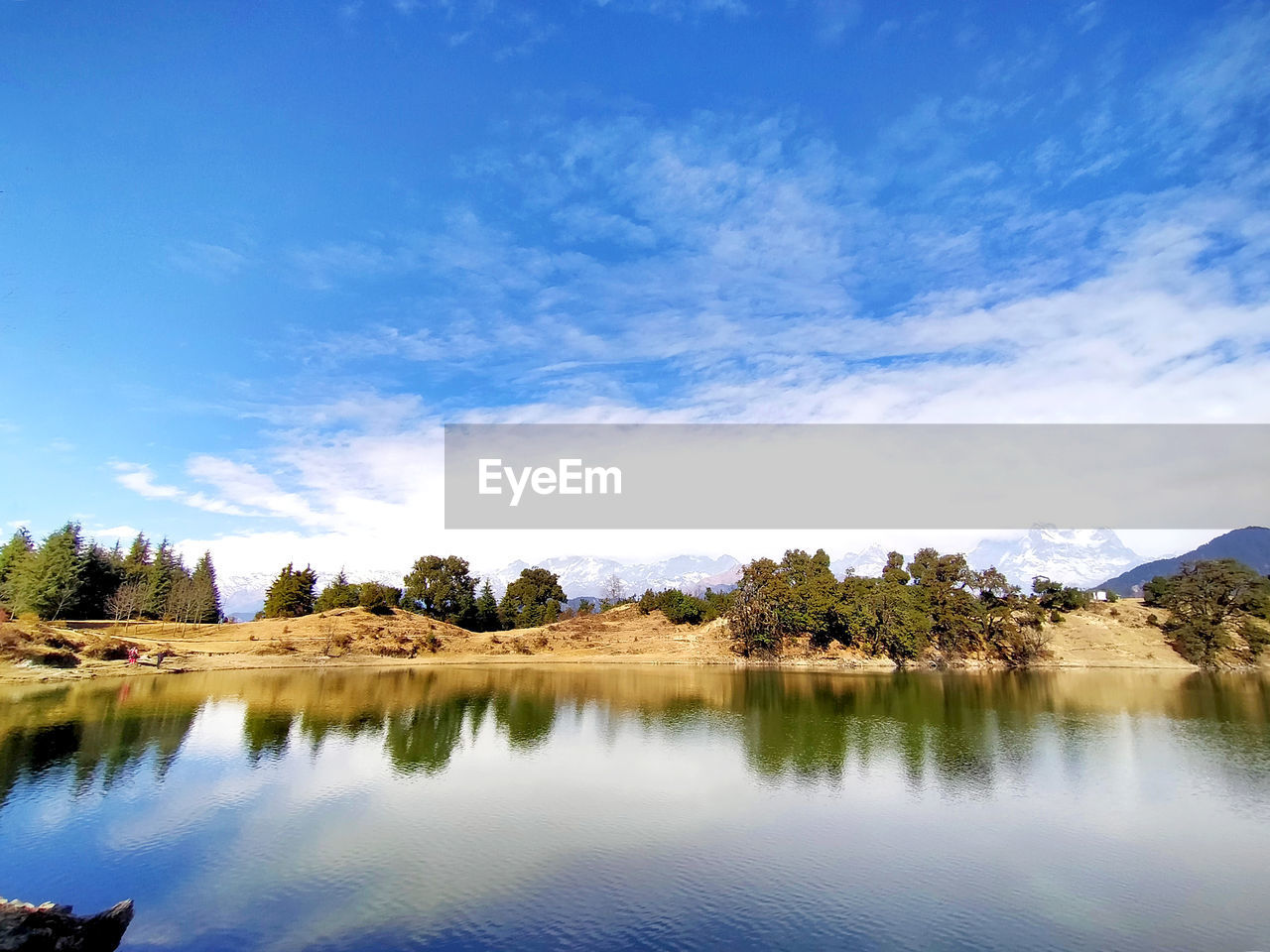 SCENIC VIEW OF LAKE BY TREES AGAINST SKY