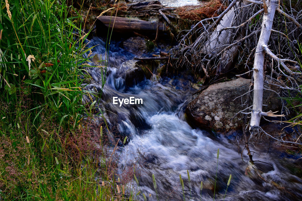 WATERFALL IN FOREST