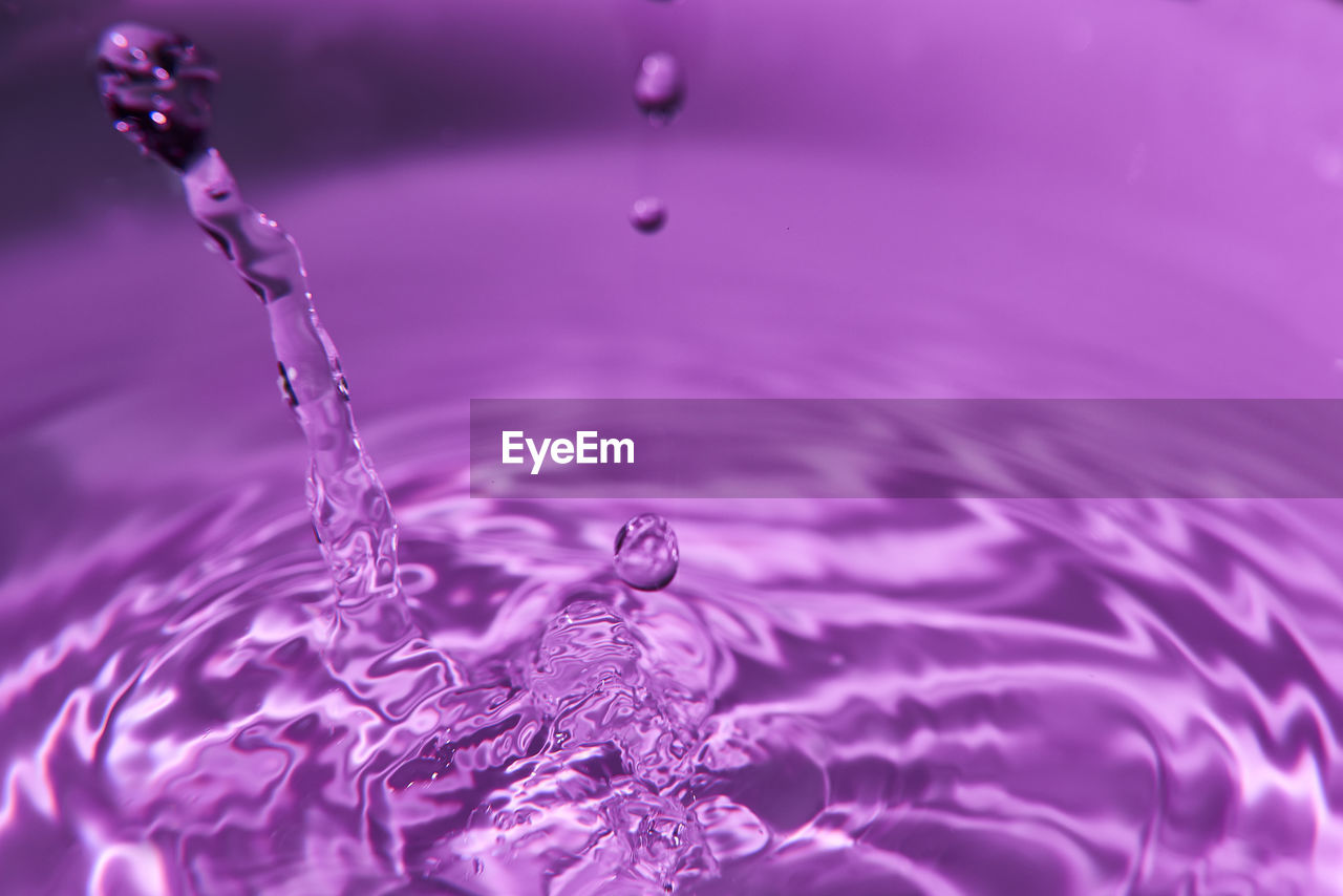 water, rippled, drop, purple, motion, splashing, petal, falling, nature, macro photography, freshness, close-up, flower, no people, splashing droplet, reflection, backgrounds, impact, pink, purity, full frame, violet, concentric, indoors, blue, food and drink, selective focus, lavender