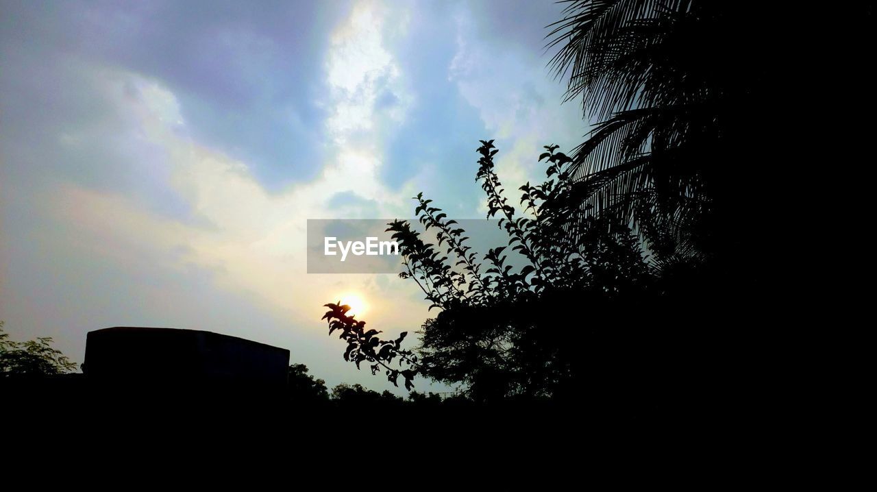 LOW ANGLE VIEW OF SILHOUETTE TREE AGAINST SKY AT SUNSET