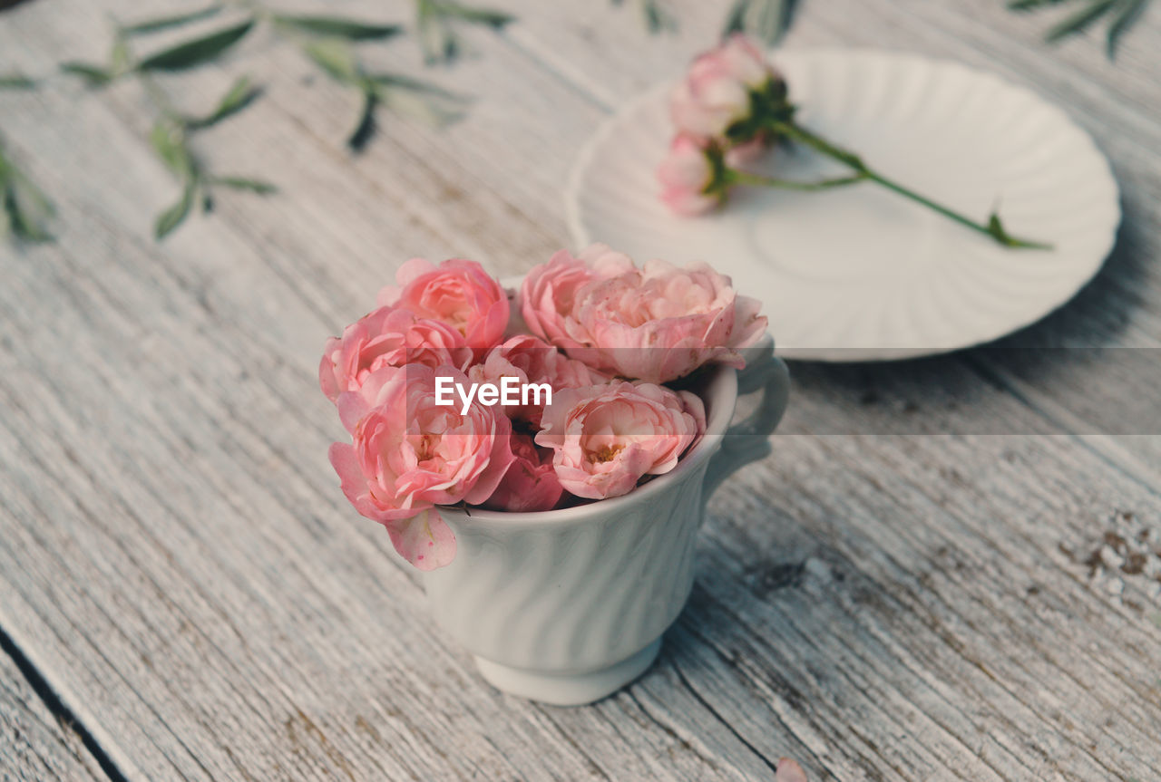 High angle view of roses on table