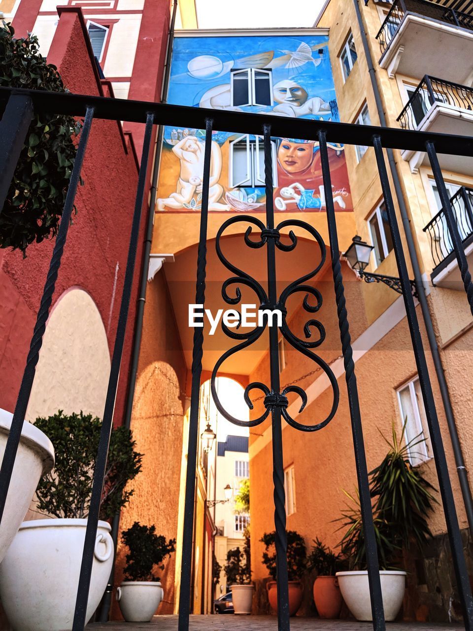 LOW ANGLE VIEW OF POTTED PLANTS HANGING ON BUILDING