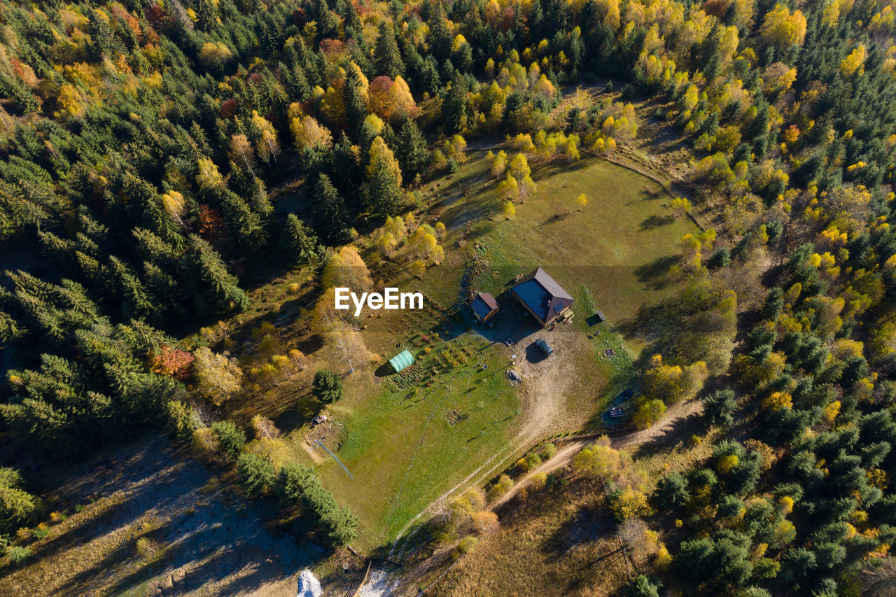 Aerial view of house amidst trees