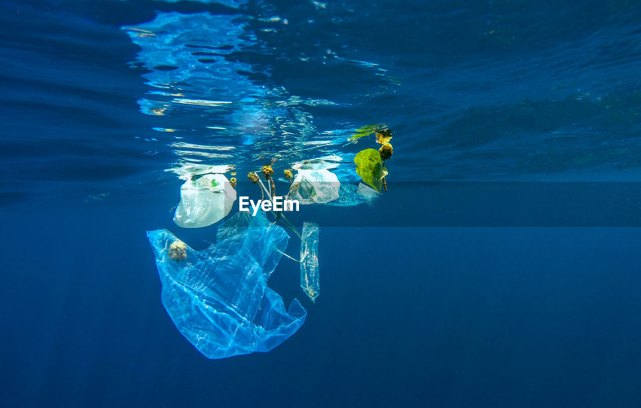 Plastic bags in water
