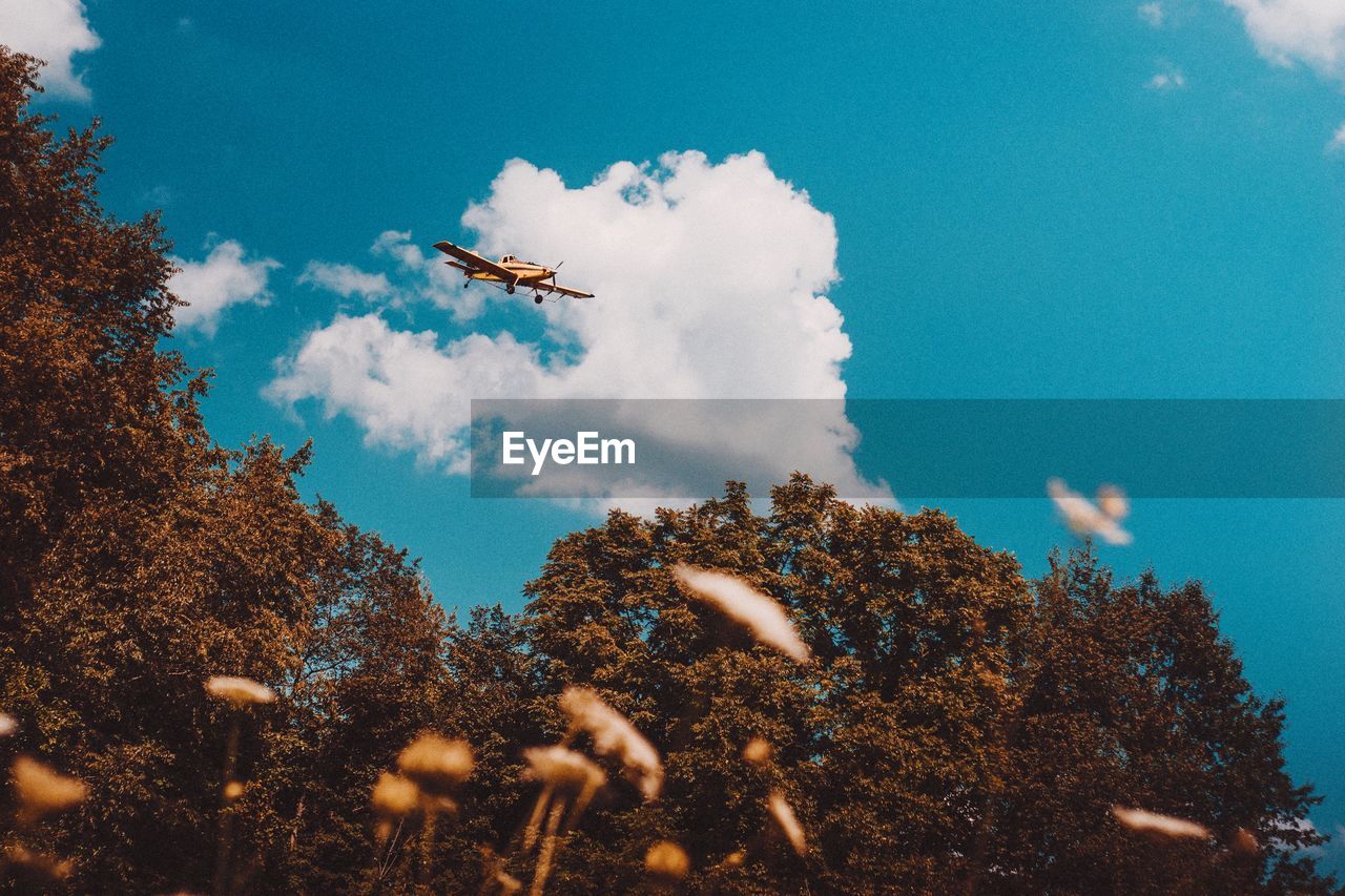 Low angle view of airplane flying above trees against sky