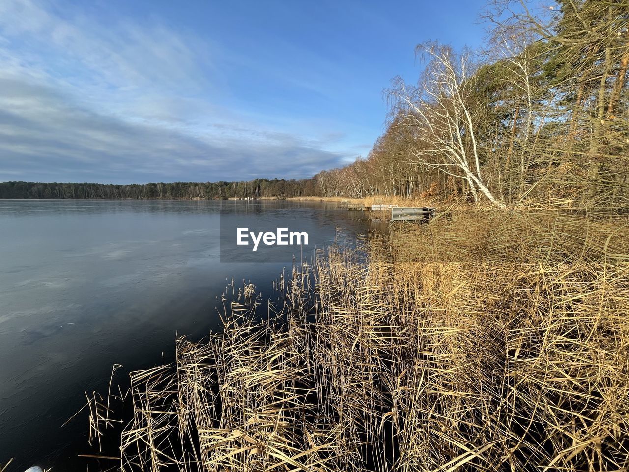 LAKE BY TREES AGAINST SKY