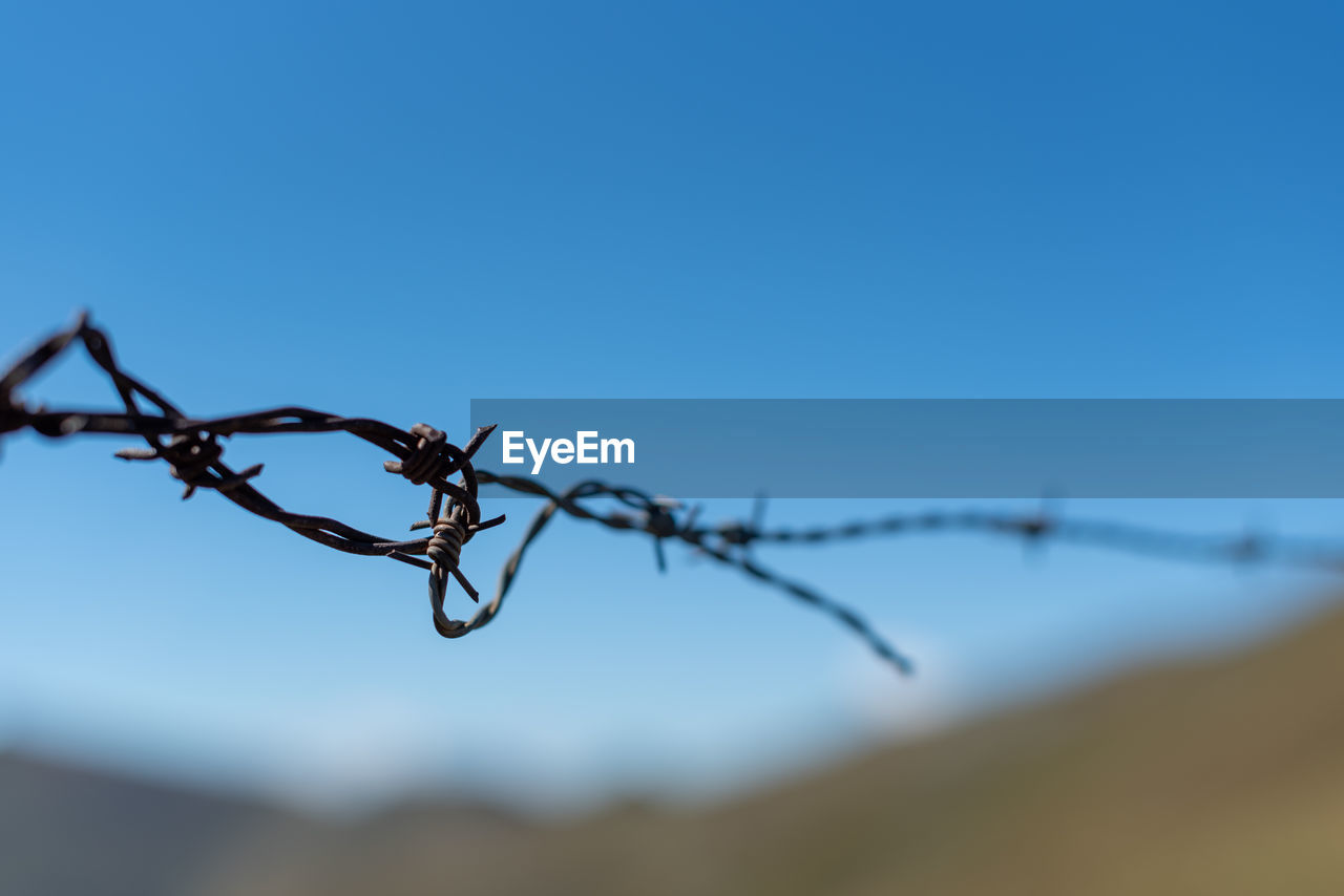 CLOSE-UP OF BARBED WIRE AGAINST BLUE SKY