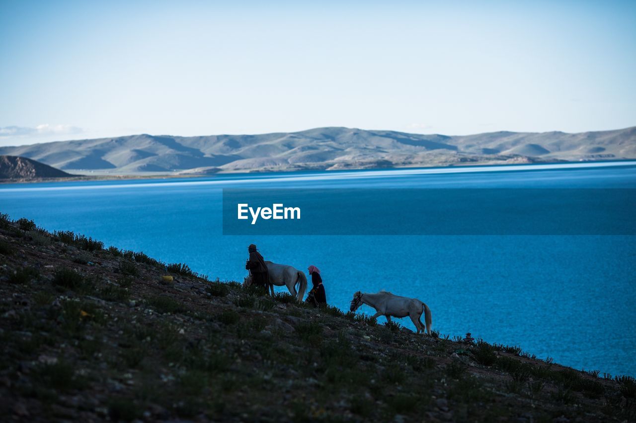 View of a horse in the sea against mountain range