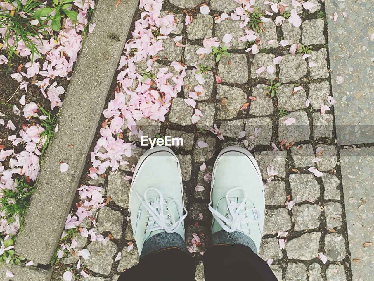 Canvas shoes and petals