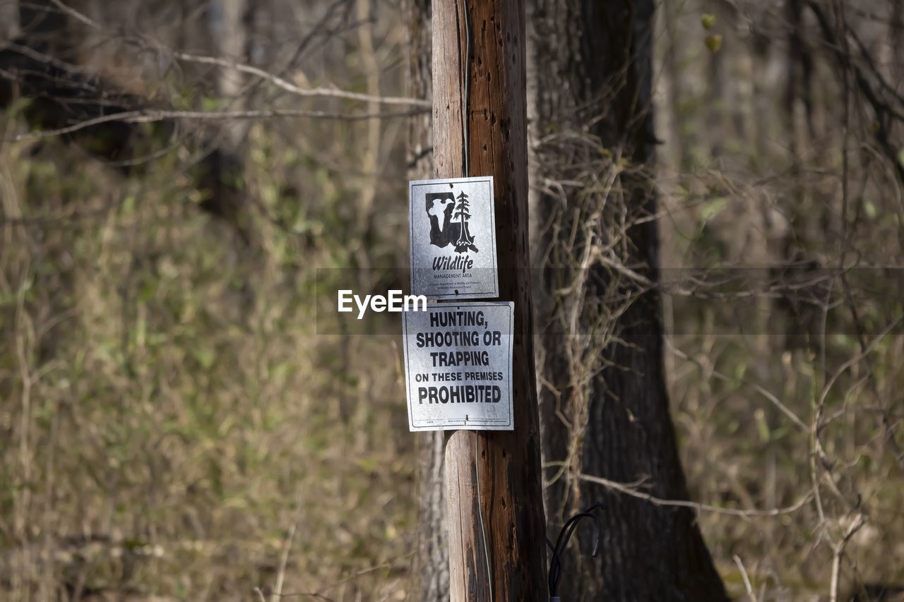 communication, sign, tree, text, plant, tree trunk, forest, trunk, trail, land, no people, natural environment, nature, western script, focus on foreground, information sign, day, warning sign, wood, guidance, outdoors, woodland