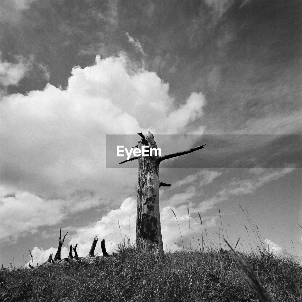 Low angle view of wooden pole on landscape against clouds