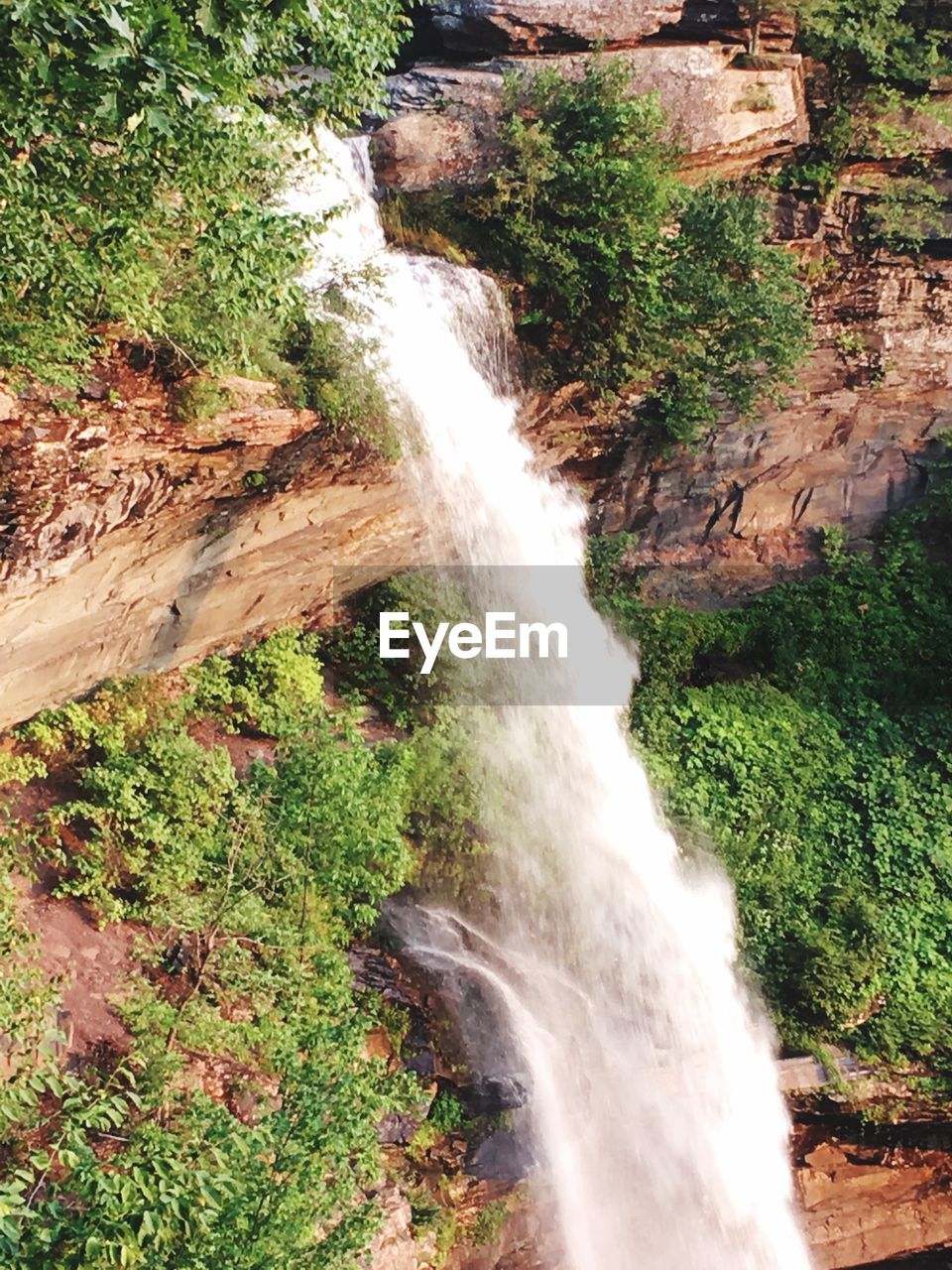 SCENIC VIEW OF WATERFALL AGAINST TREES