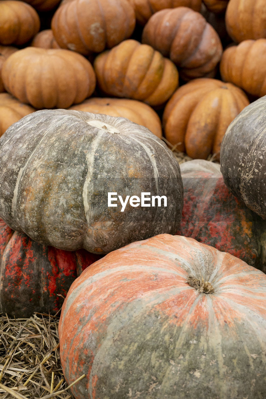 Full frame closeup shot of pumpkins