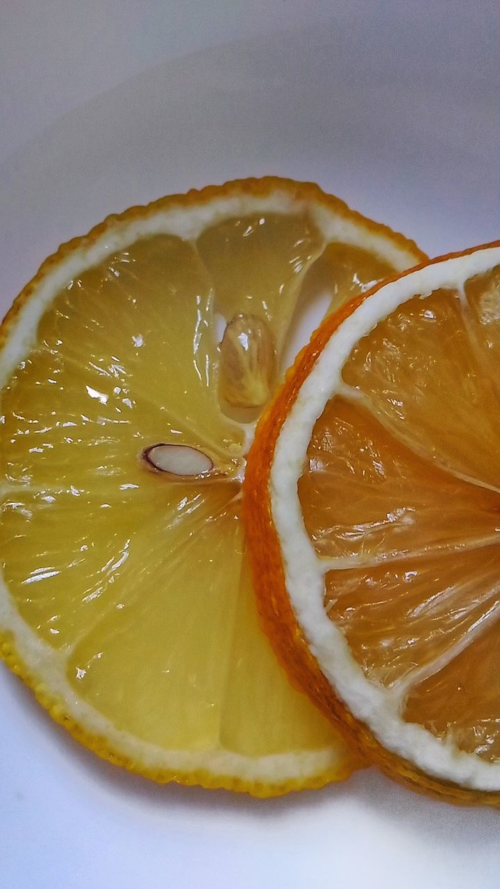 CLOSE-UP OF LEMON SLICE IN GLASS