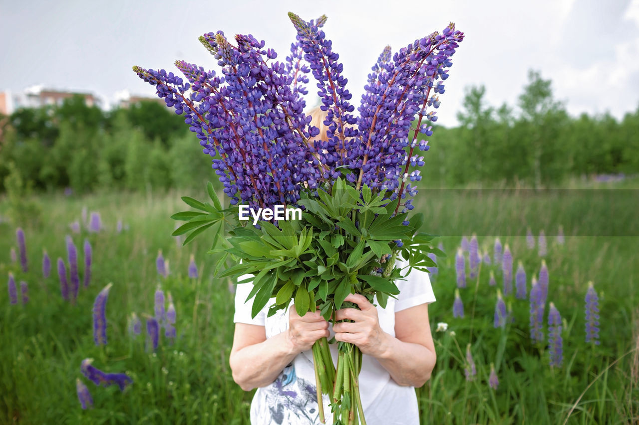 Elderly woman get a beautiful bouquet of purple lupines in blooming field, active in retirement