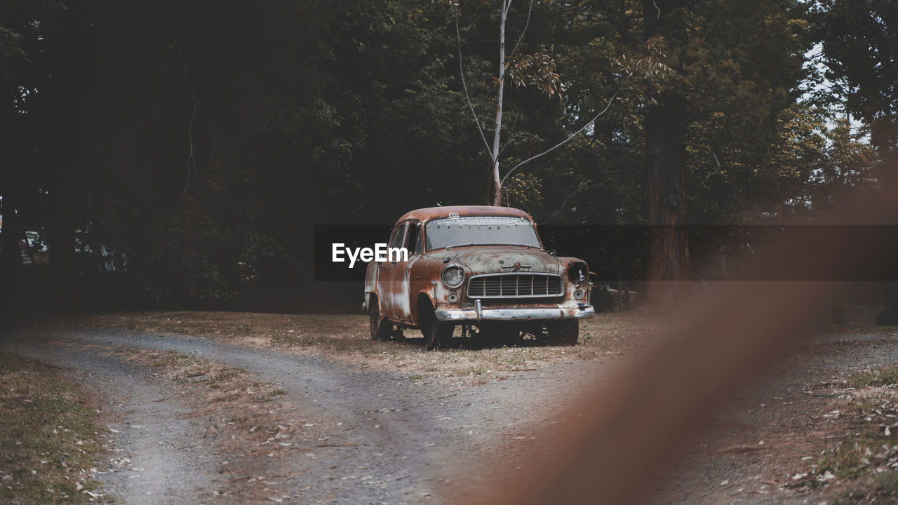 CAR ON DIRT ROAD IN FOREST