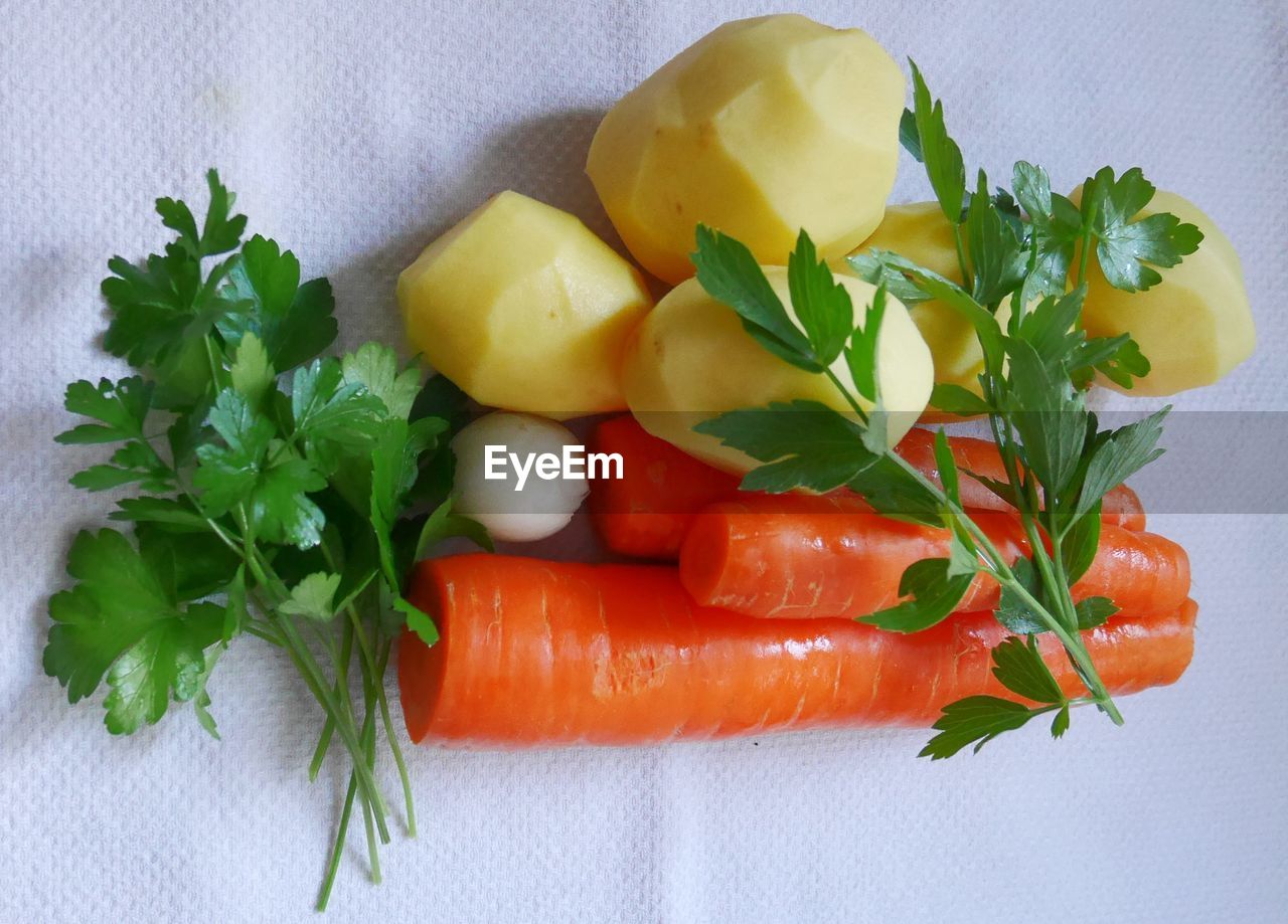 DIRECTLY ABOVE SHOT OF CHOPPED FRUITS AND VEGETABLES ON PLANT