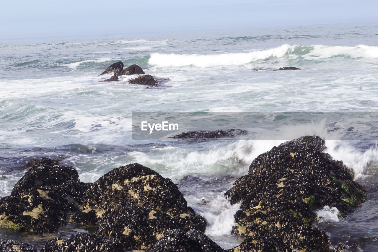 ROCKS IN SEA AGAINST SKY