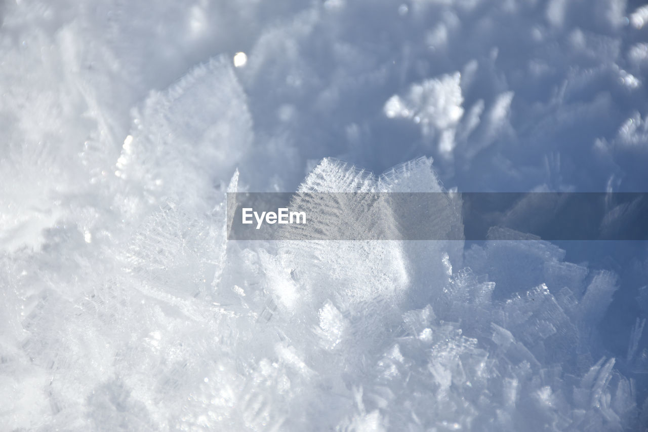 Close-up of snowflakes