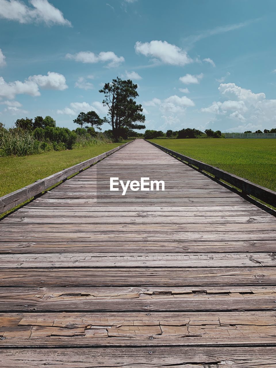 Bodie island boardwalk, obx, nc