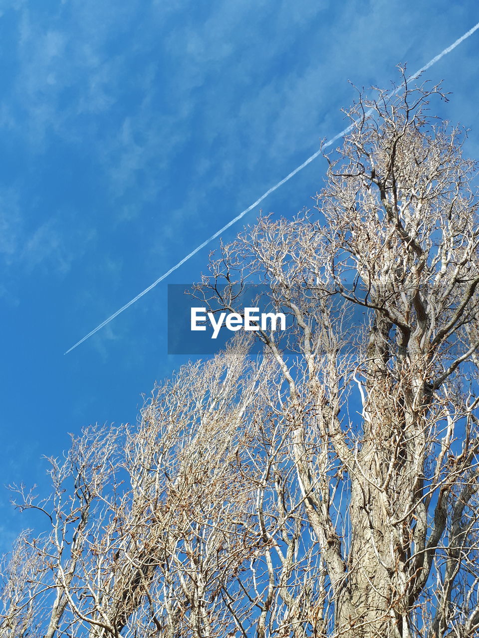 LOW ANGLE VIEW OF VAPOR TRAILS IN SKY