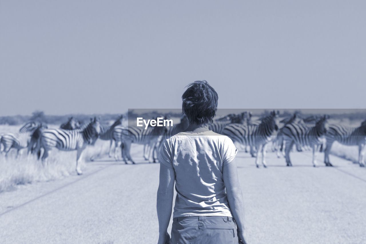 Rear view of woman standing against zebras on landscape