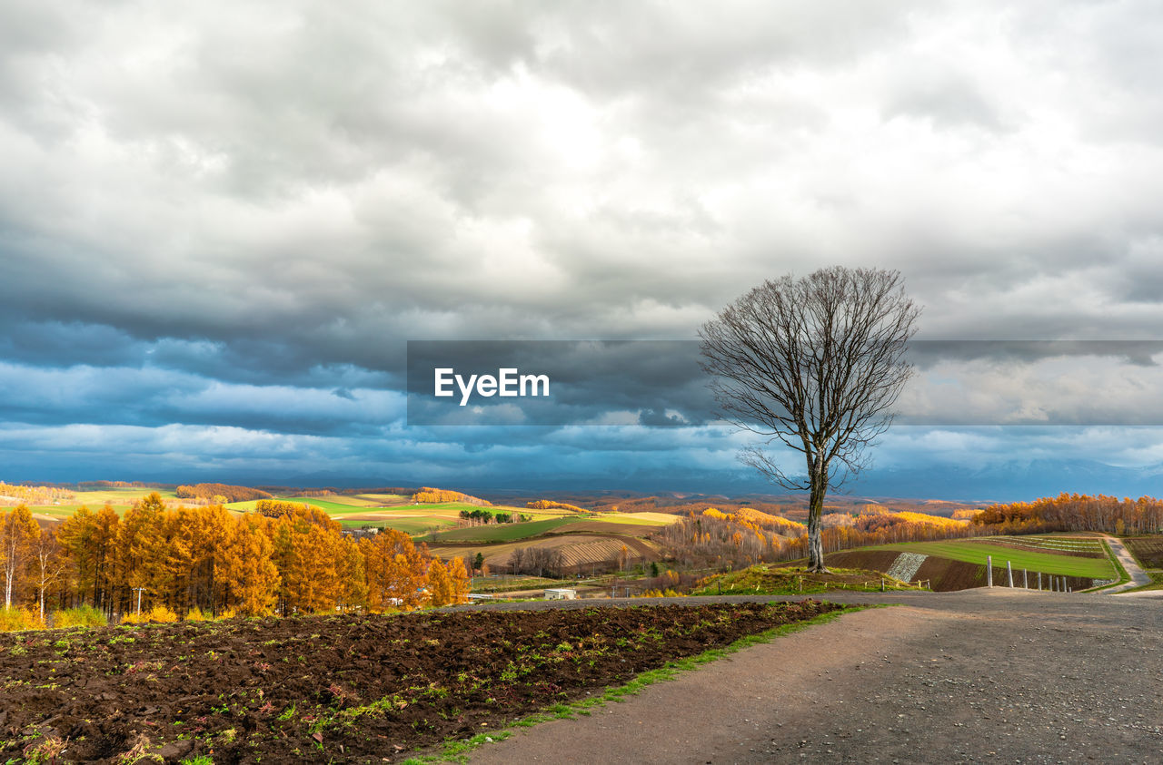 Road amidst field against sky