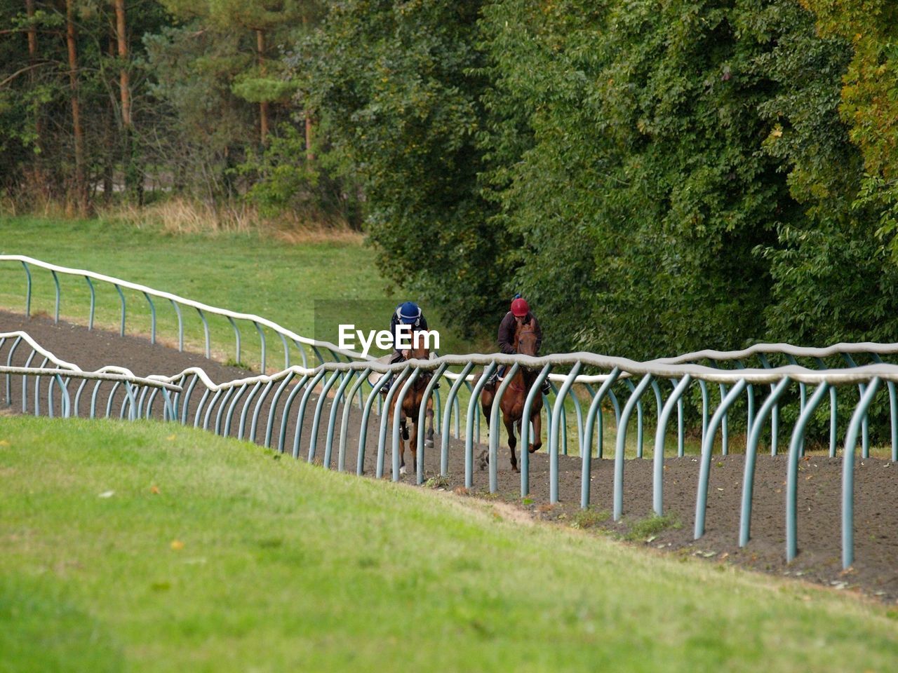 PEOPLE RIDING ON GRASSY FIELD