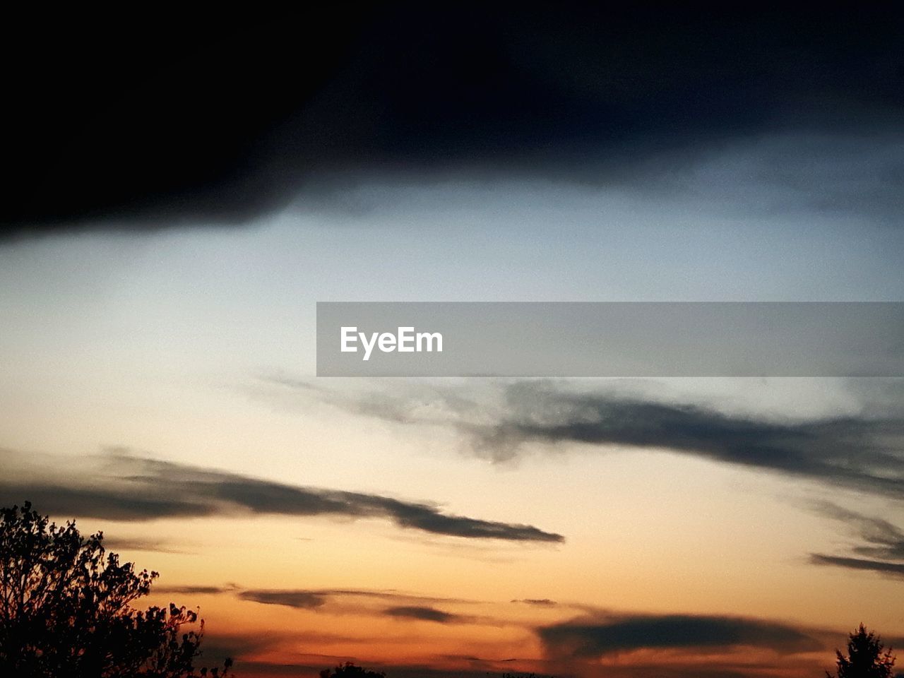 SILHOUETTE OF TREES AGAINST CLOUDY SKY