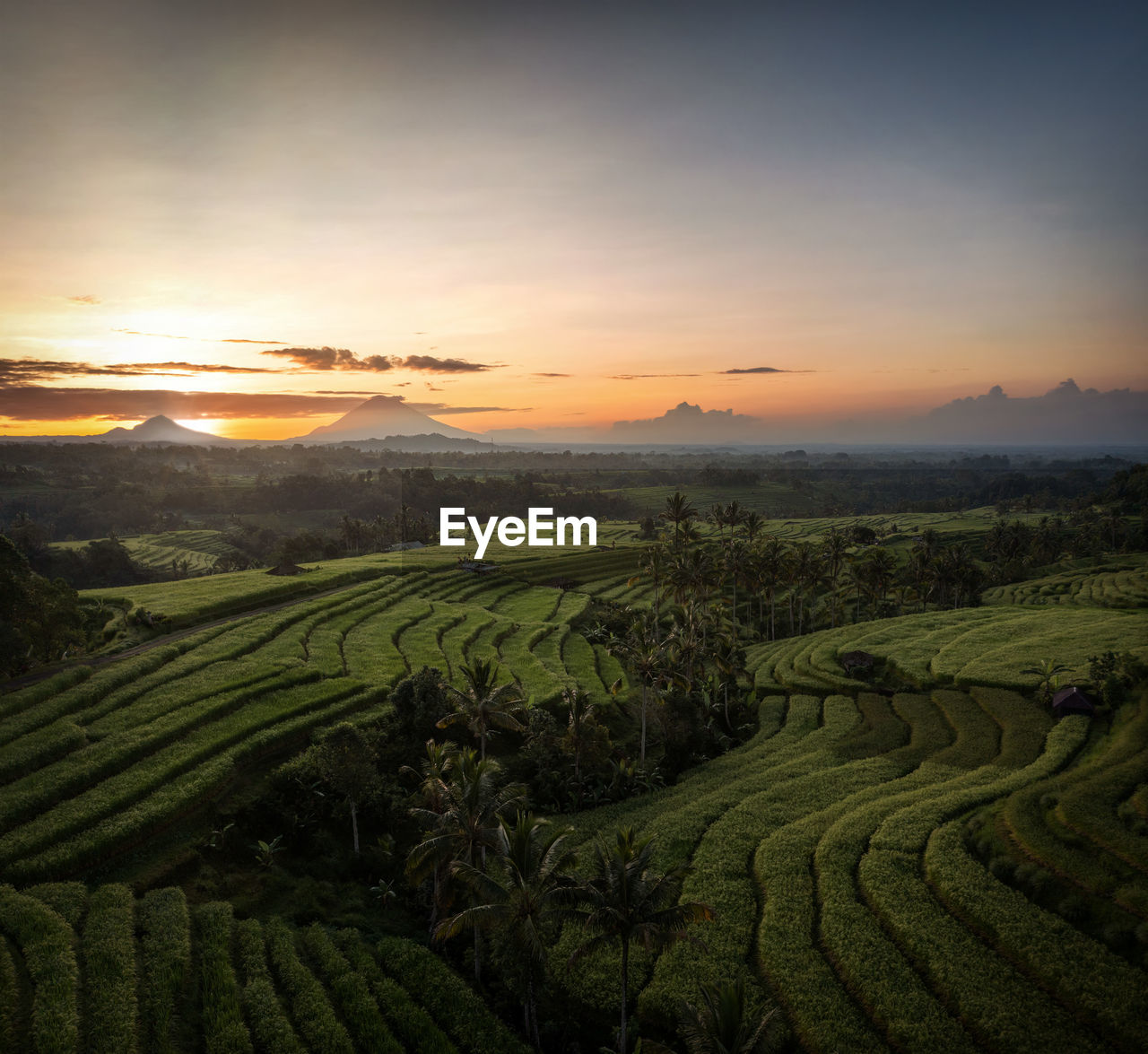 landscape, environment, agriculture, rural scene, field, land, scenics - nature, crop, sunset, sky, farm, nature, plant, beauty in nature, sun, plain, growth, tranquility, hill, cloud, food and drink, terrace, rural area, environmental conservation, travel, no people, sunlight, twilight, outdoors, social issues, food, architecture, tranquil scene, plantation, tree, rice paddy, valley, terraced field, pattern, horizon, rice, dawn, building, sunbeam, igniting, green, tea crop, idyllic, travel destinations, fog, in a row, tropical climate, tourism