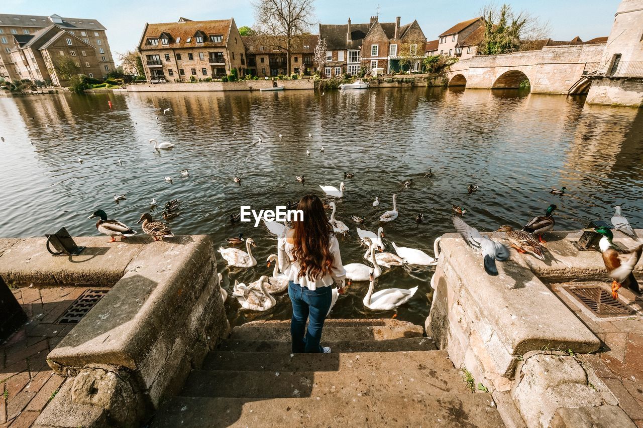 Rear view of woman standing by river against buildings