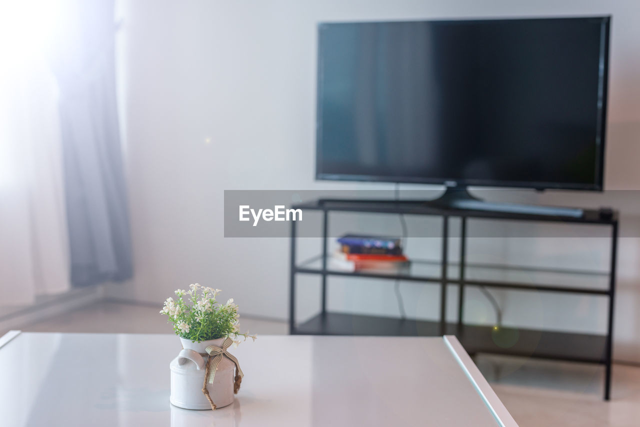 Television and flower vase in living room at home