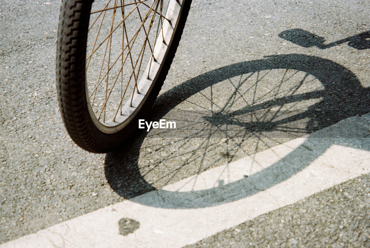 transportation, bicycle, shadow, sunlight, wheel, spoke, day, high angle view, no people, mode of transportation, land vehicle, city, street, vehicle, tire, nature, road, outdoors, tarmac, road bicycle, footpath, bicycle wheel