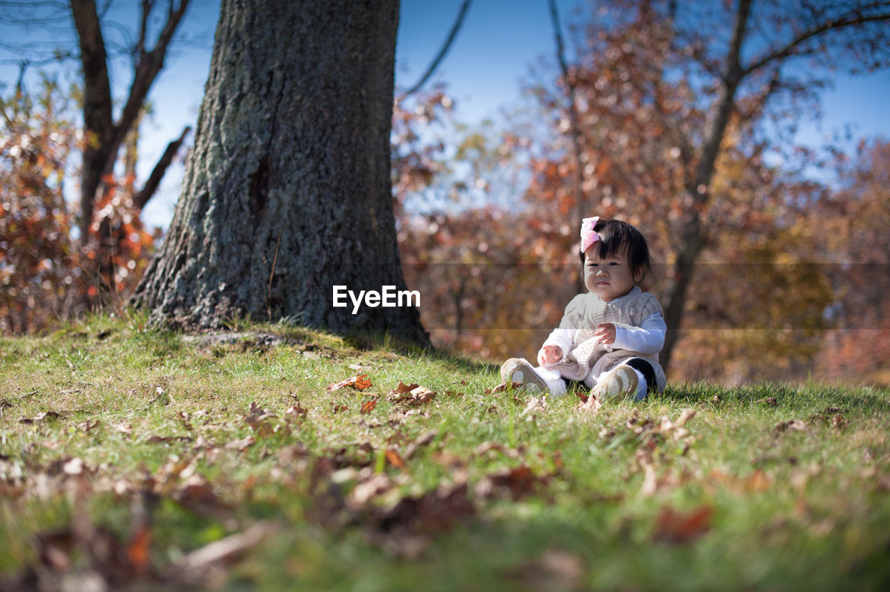 Cute girl sitting on field against trees