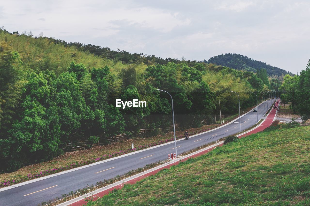 Road amidst plants and trees against sky