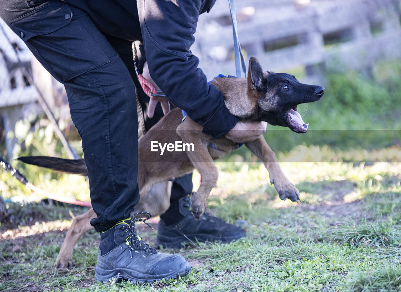 LOW SECTION OF MAN WITH DOG STANDING ON FIELD