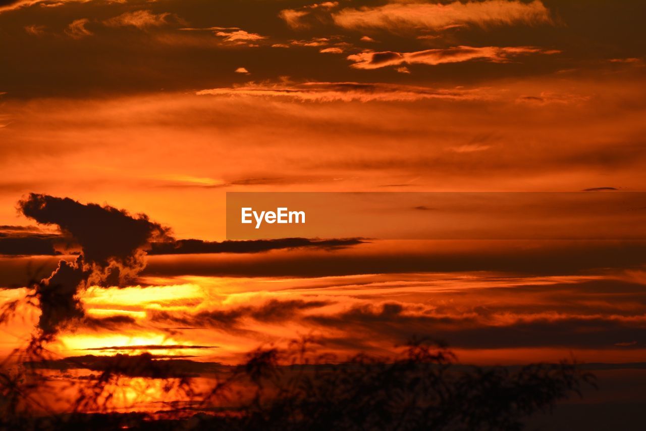 SCENIC VIEW OF DRAMATIC SKY OVER SILHOUETTE TREES DURING SUNSET