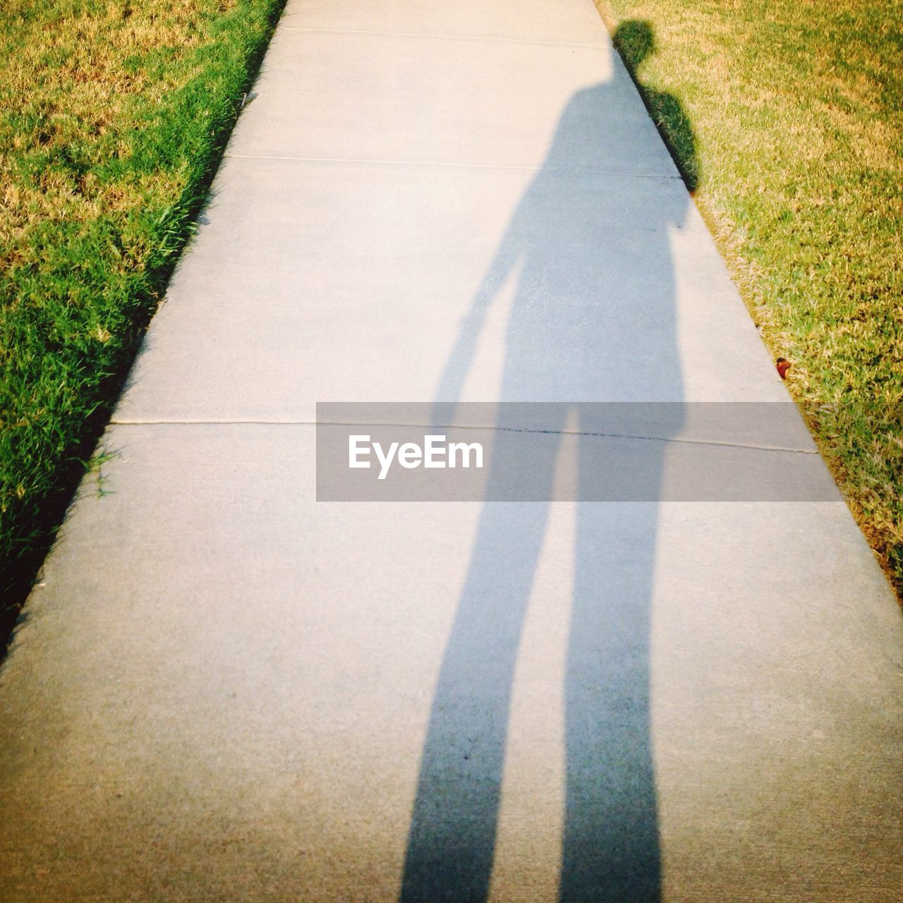 Shadow of woman in footpath