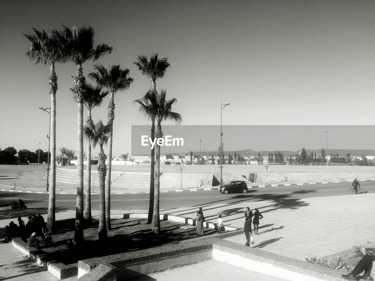 Palm trees on beach against clear sky