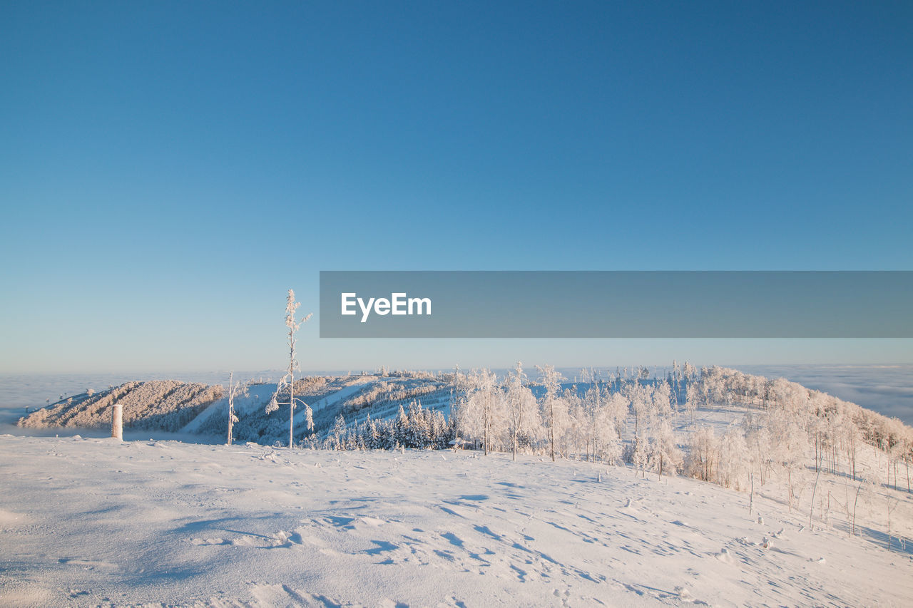 Breathtaking morning gentle light illuminates the mountains under blanket of snow and part of forest