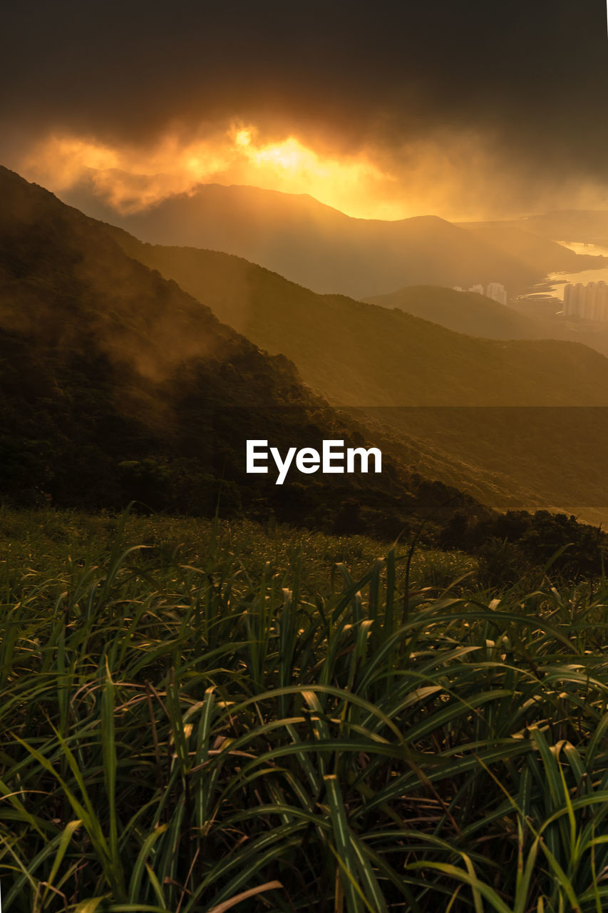 Scenic view of field against sky during sunset